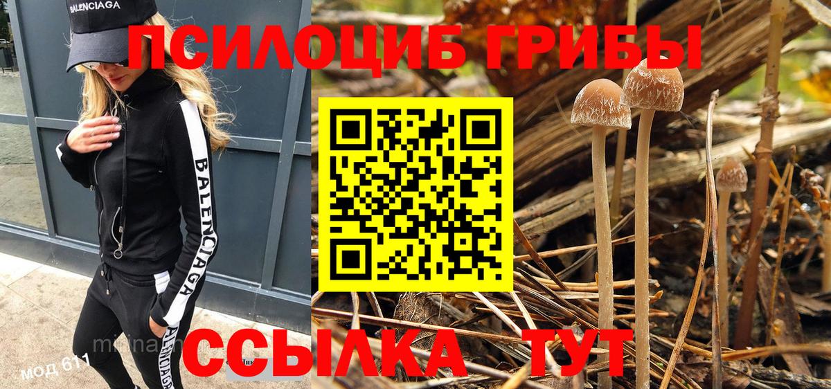 Псилоцибиновые грибы MAGIC MUSHROOMS Ставрополь