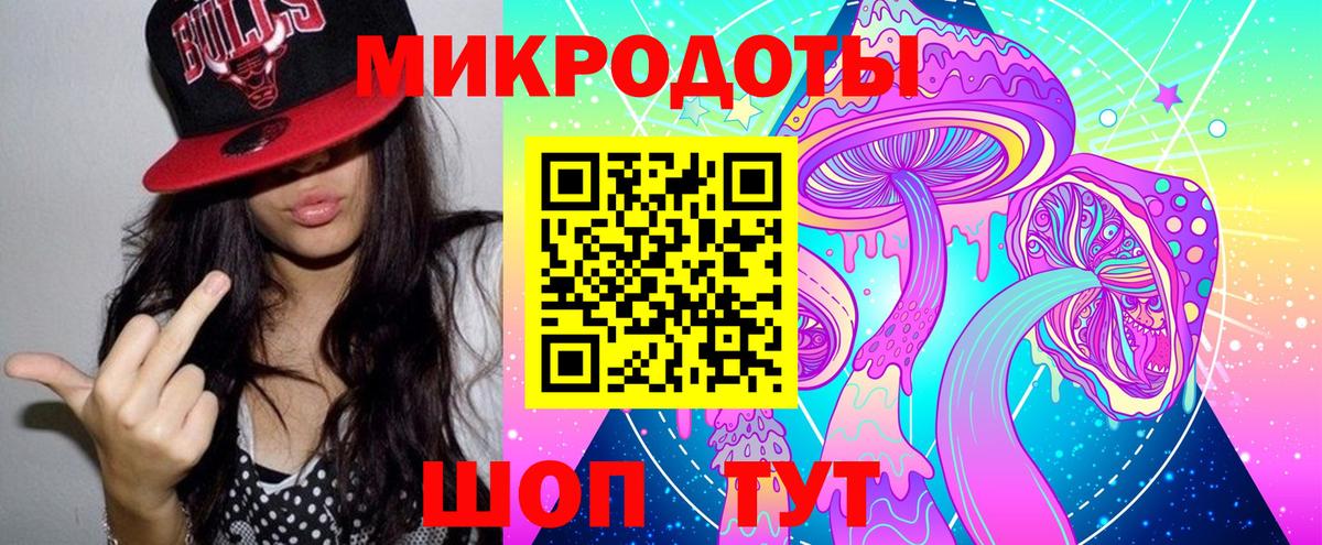 Псилоцибиновые грибы Psilocybe  как найти   Ставрополь  Вход с VPN 